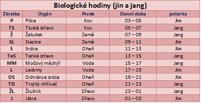biologick hodiny
